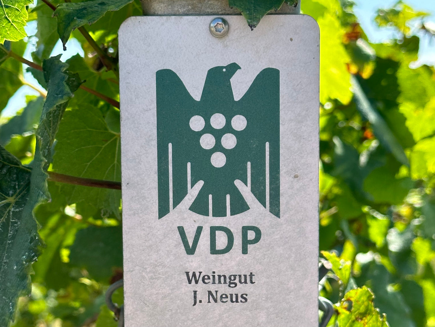 Booom...VDP "Bombe" geplatzt
