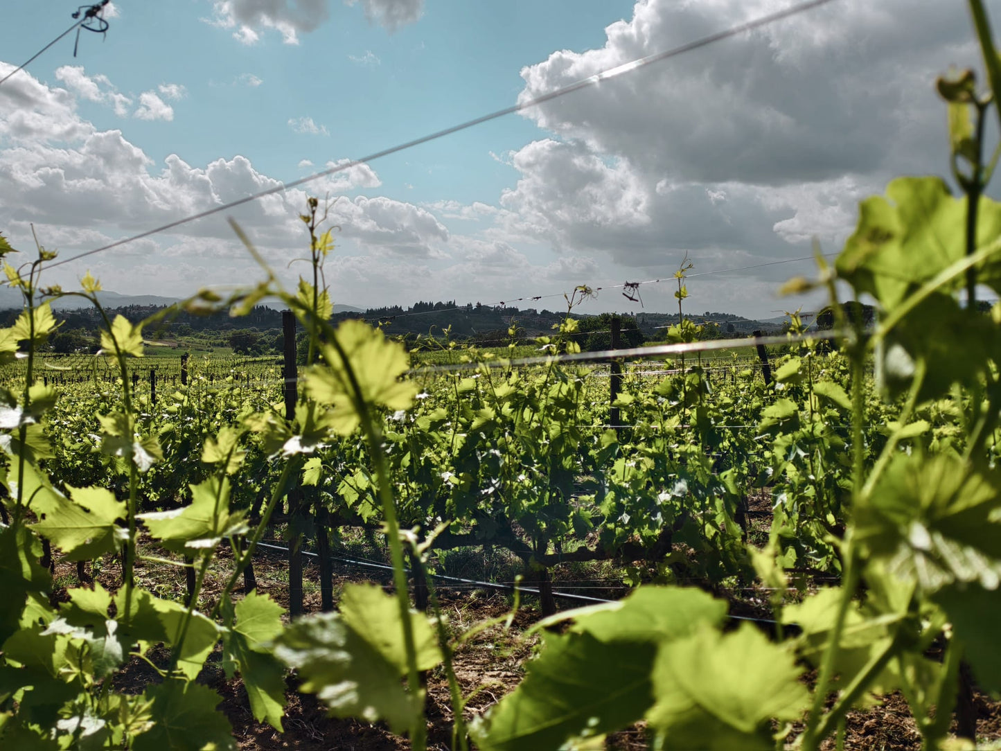 Vier Tage im Herzen des Chianti